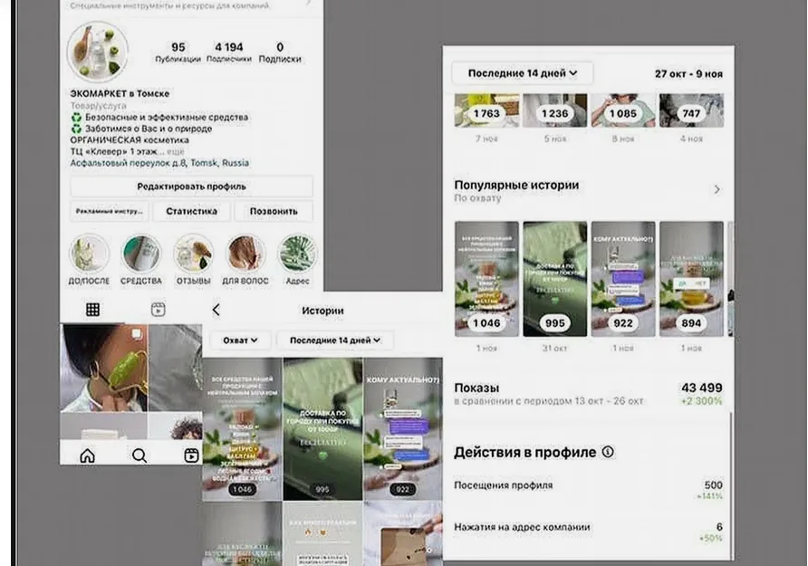 SMM-продвижение экомагазина бытовой химии в Томске